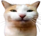 BLEHHH emote for Discord