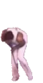 bjLB emote for Discord