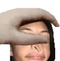 BIODEPET emote for Discord