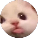 blaSpin emote for Discord
