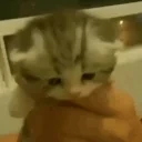 BlessYou emote for Discord