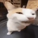 BLEHHH emote for Discord