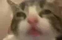 bluh emote for Discord