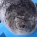 bleh emote for Discord