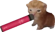 blinkerbert emote for Discord
