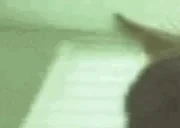 bluntbuh1 emote for Discord