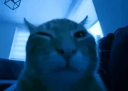 bluh emote for Discord