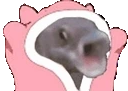 BLOOOONKIES emote for Discord