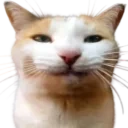 BLEHHH emote for Discord