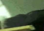 bluntbuh4 emote for Discord