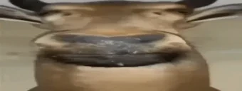 blud emote for Discord