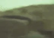 bluntbuh2 emote for Discord