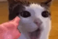 blahblahblah emote for Discord