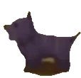 bluedog emote for Discord