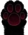 blackcat emote for Discord