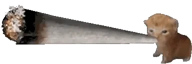 blazin emote for Discord