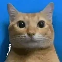 BLINK emote for Discord