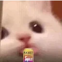 blazi emote for Discord