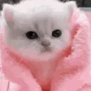 blankeyy emote for Discord