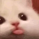 blala emote for Discord