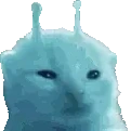 blorpJam emote for Discord