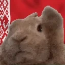 blrVibe emote for Discord