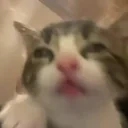 bluh emote for Discord