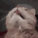 bluh emote for Discord