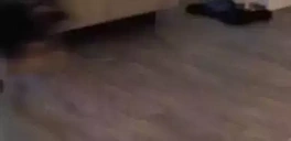 BlueRun emote for Discord