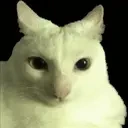 blimp emote for Discord