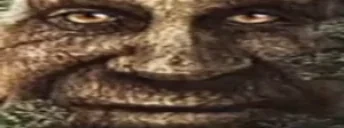 blinkywise emote for Discord