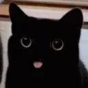 BLEPKOOK emote for Discord
