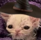 bleWizard emote for Discord