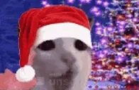 blahblahblah emote for Discord