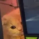 blbulh emote for Discord