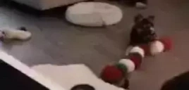 blueArrive emote for Discord