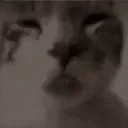 blep emote for Discord