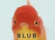 BlubFish emote for Discord