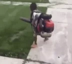 BLOWTHEGRASS emote for Discord