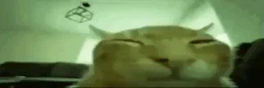 bloom emote for Discord