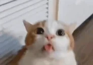 blehJam emote for Discord