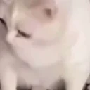 bleh emote for Discord