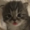 bleh emote for Discord