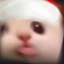 blaSpinCrazy emote for Discord