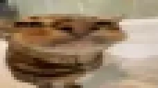 blublu emote for Discord