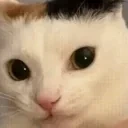 blep emote for Discord