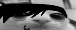 blinkemo emote for Discord