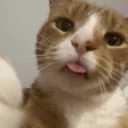 Blep emote for Discord
