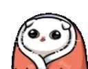 Blankies emote for Discord