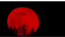 BloodMoon emote for Discord